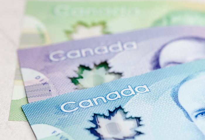 Free public discussion on basic income at Fleming College