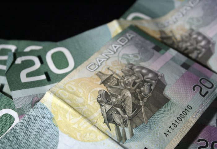 Frost out, Celebrations in, as basic income meeting adapts to college strike