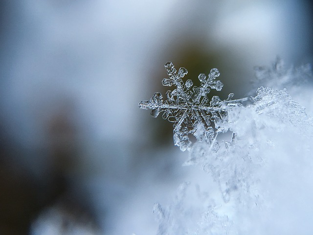 Soroptimist snowflake gala