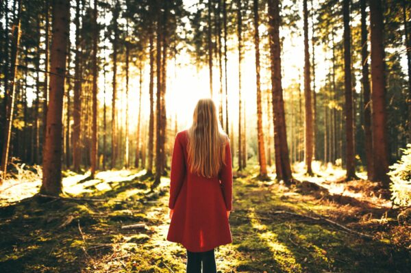 Desire or pressure: What motivates us to get out of bed and work?