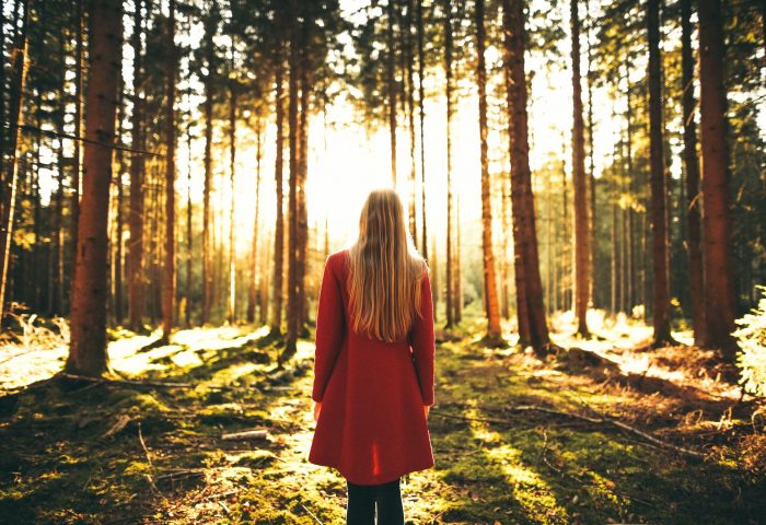 Desire or pressure: What motivates us to get out of bed and work?