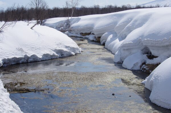 Ford government undermines environmental protections, says reader