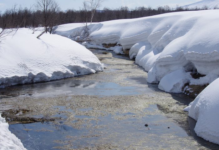 Ford government undermines environmental protections, says reader