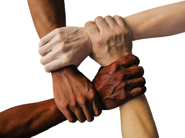 Bridging Principles: Diversity education seminar