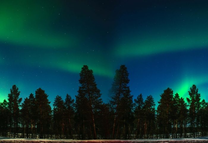Trippin’ to Finland and other destinations with the library