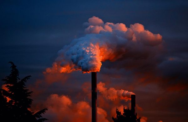 Reflections on the economy-ecology paradox