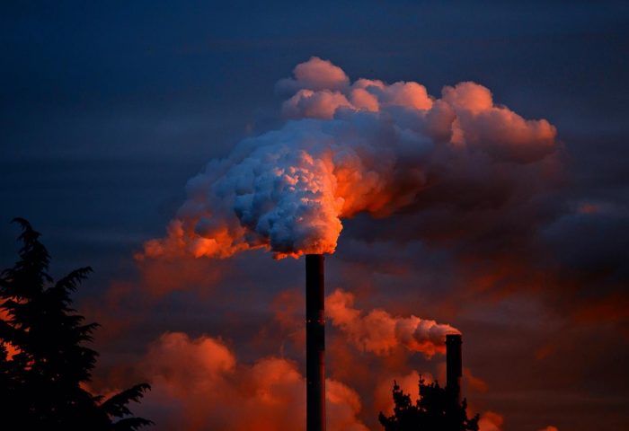 Reflections on the economy-ecology paradox
