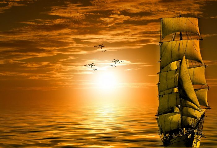 Forests and ships: Planning for the future with flexibility