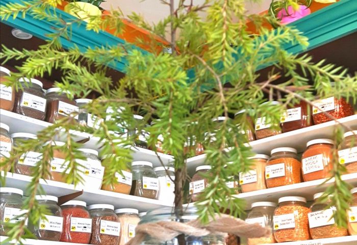 Free tree seedling from Country Cupboard for first 100 people
