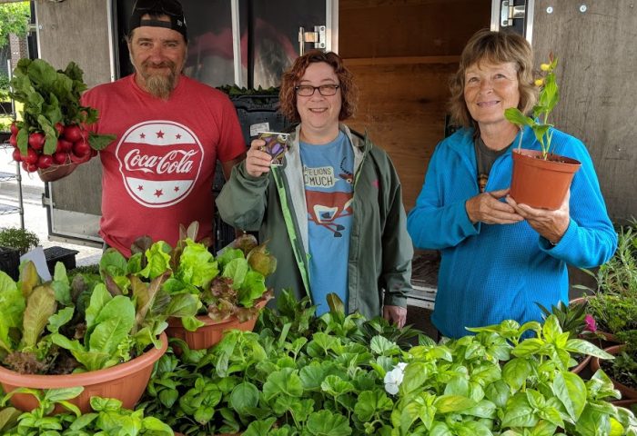 New Thursday Farmers’ Market to open at Wilson Fields
