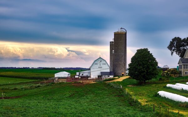 Lindsay lands International Plowing Match 2020 with expected 80,000 visitors