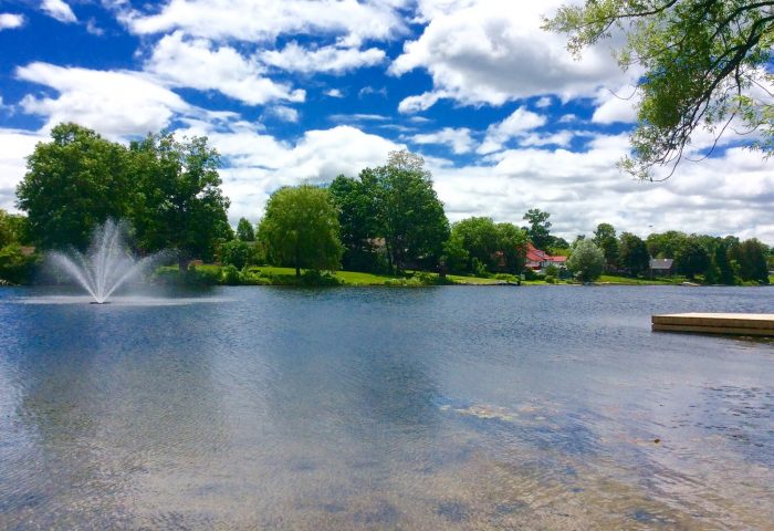 Coboconk Wellness Centre report proposes multi-million dollar facility