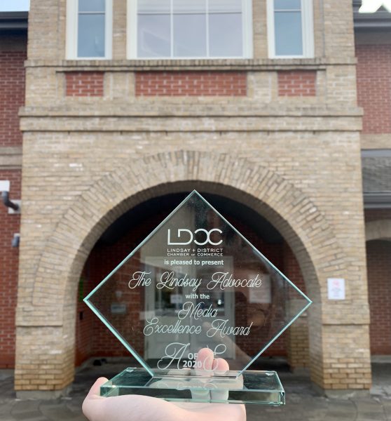 Advocate wins Media Excellence award through LDCC