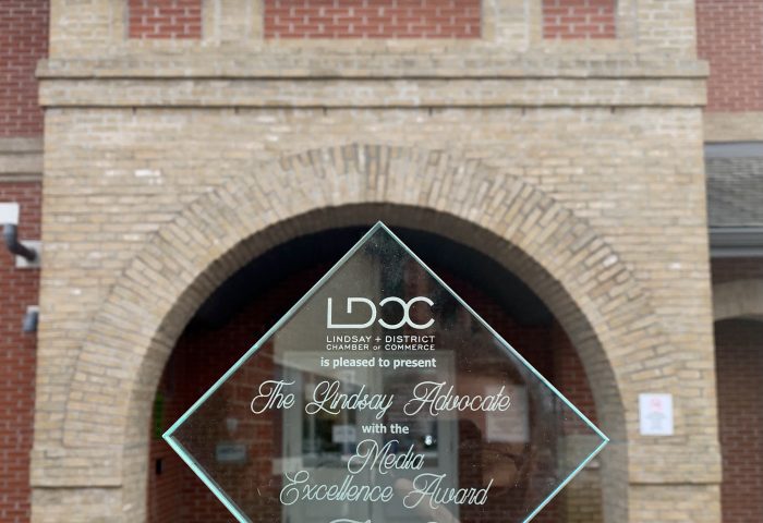 Advocate wins Media Excellence award through LDCC