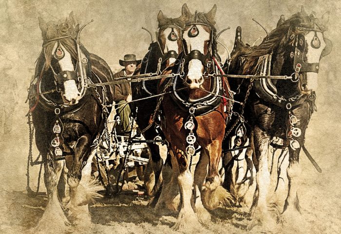 Plowing